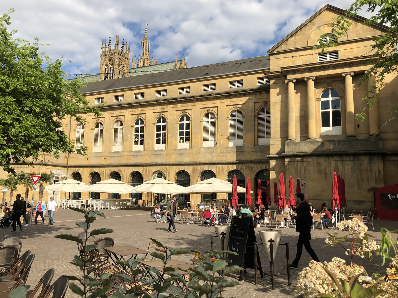 l'oiseau de Lorraine